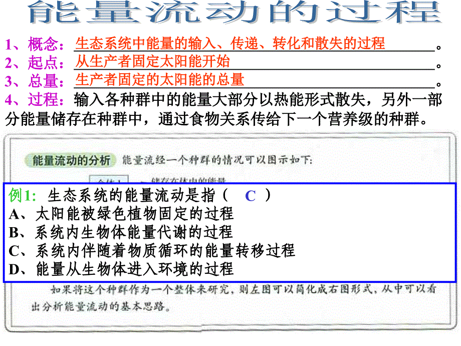 生物人教必修三第五章第2节生态系统的能量流动_第3页