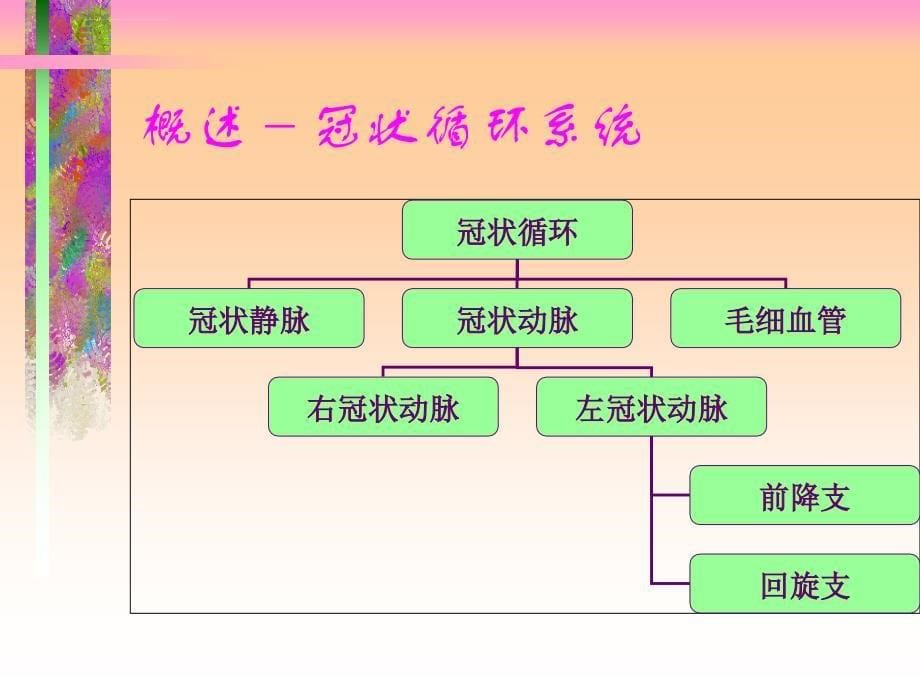 经皮冠状动脉介入治疗的护理课件_第5页