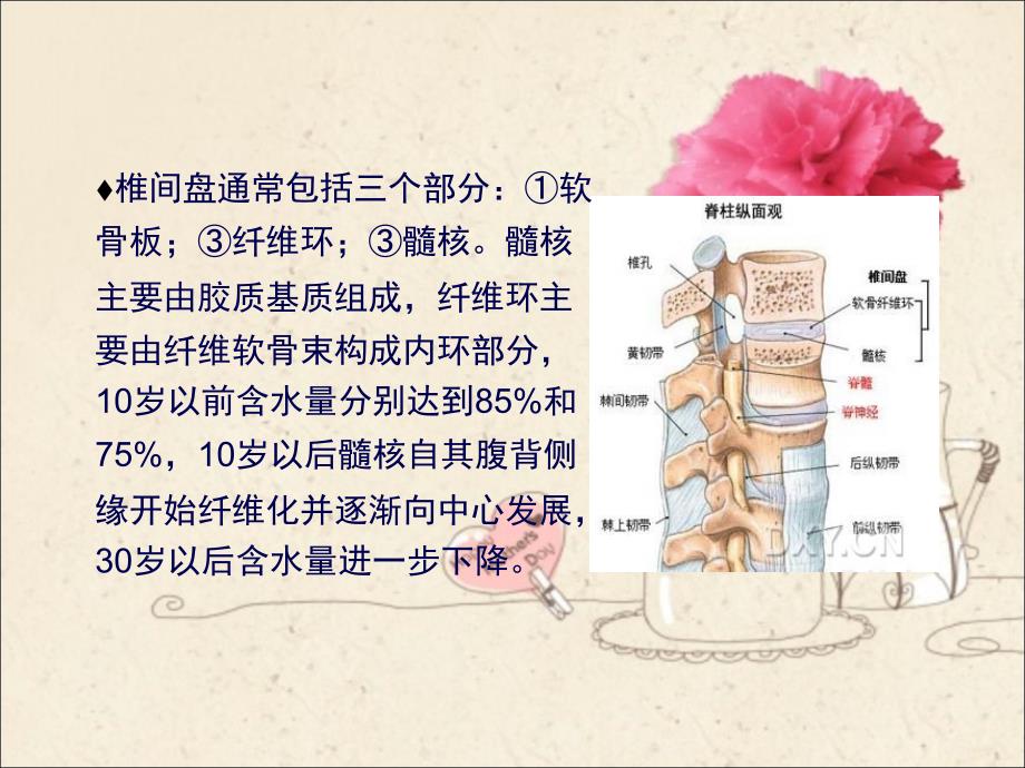 腰椎间盘突出症的针灸治疗PPT_第4页