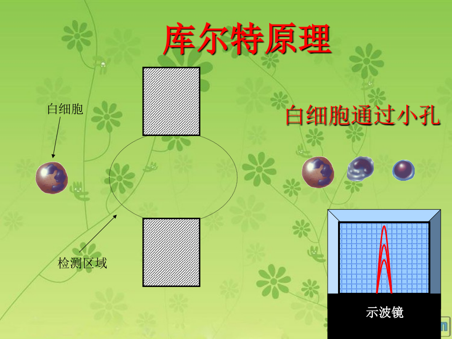 血细胞直方图和散点图的临床意义PPT_第4页