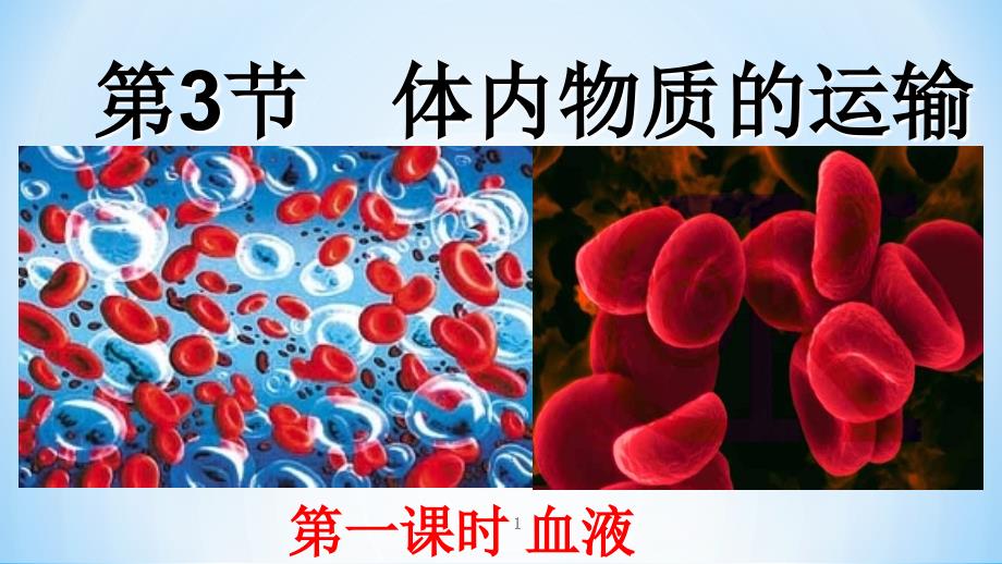 教学体内物质的运输(第一课时)血液（课堂PPT）_第1页