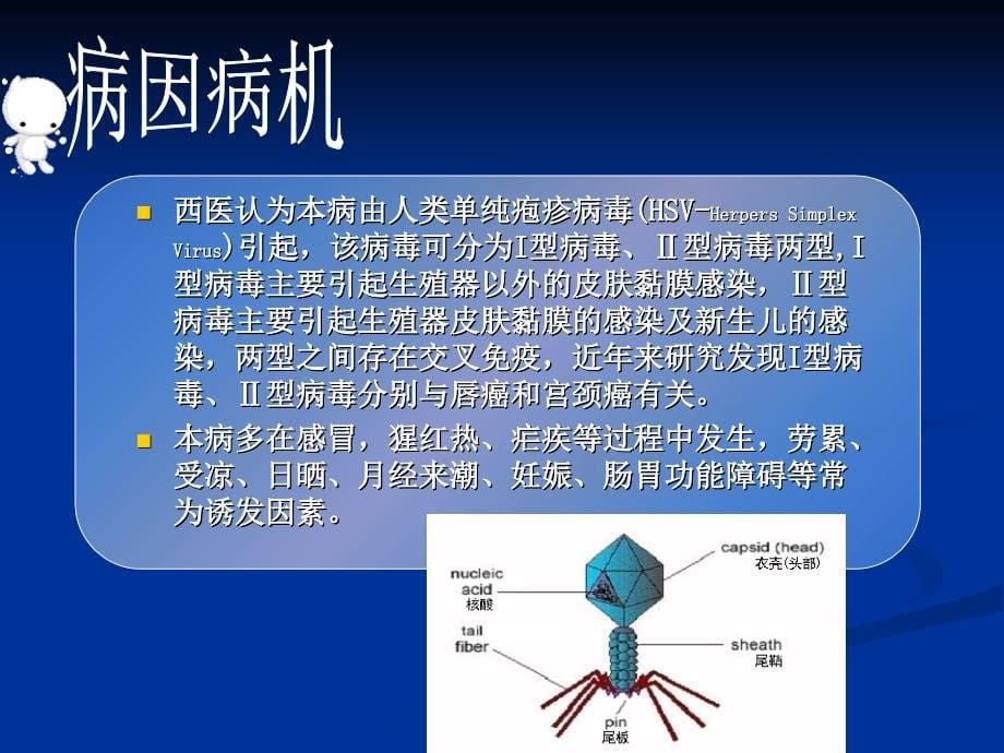 1 热疮课件.ppt_第5页