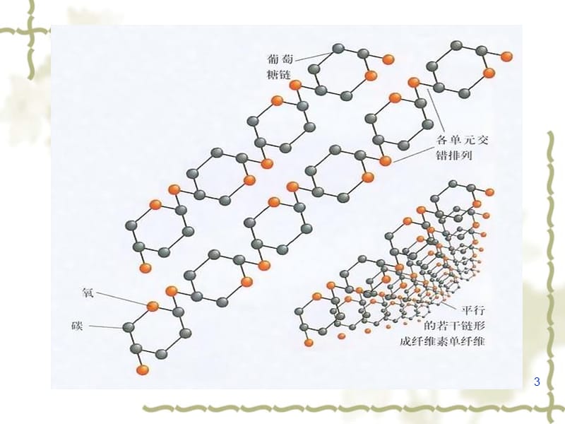 分解纤维素的细菌的分离（课堂PPT）_第3页