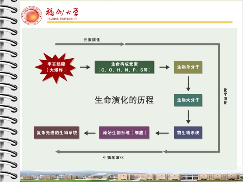 (5)化学与现代社会.ppt_第4页