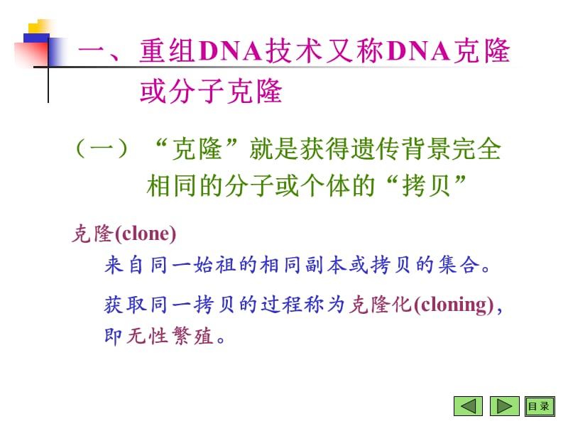 DNA重组技术精编版_第4页