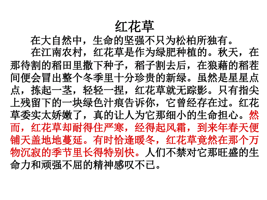 苏教版六年级语文夹竹桃课件_第4页