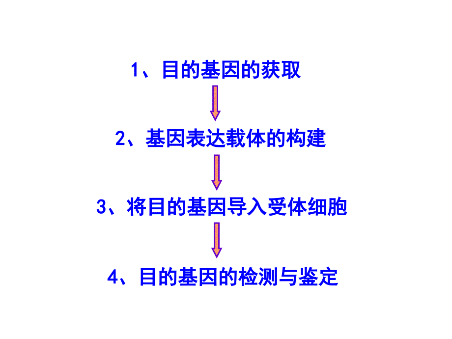 基因工程的基本操作程序_优质课_第2页