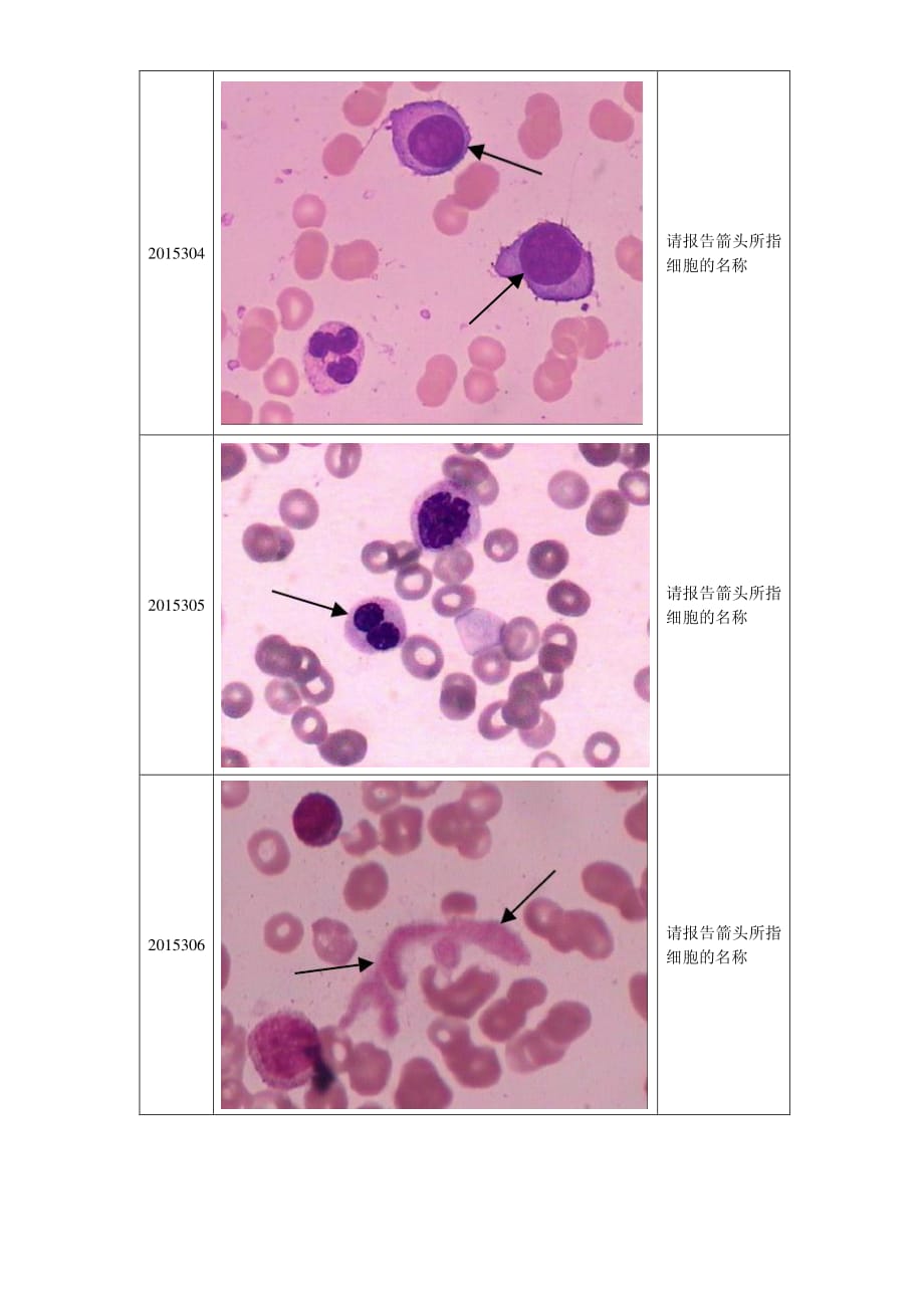 2015年第3次血细胞形态学检查室间质量评价..pdf_第2页