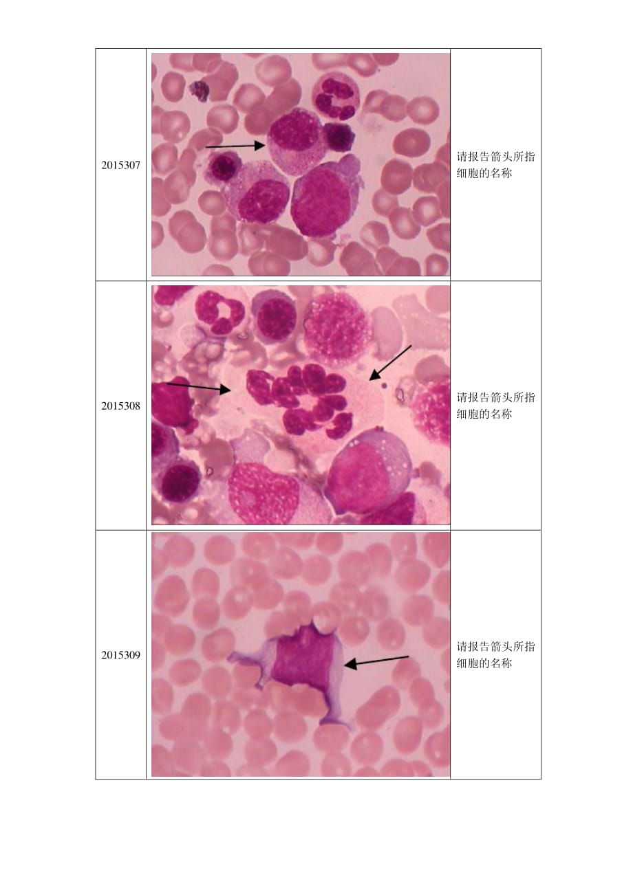 2015年第3次血细胞形态学检查室间质量评价..pdf_第3页