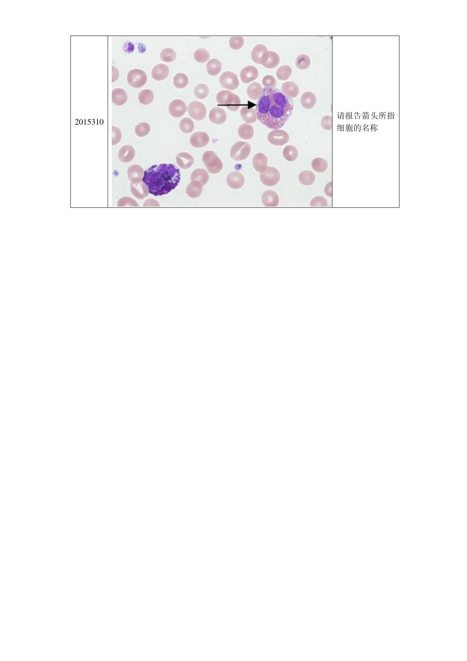 2015年第3次血细胞形态学检查室间质量评价..pdf_第4页