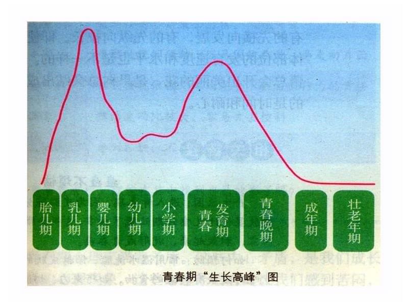 1.1悄悄变化的我 课件.ppt_第5页