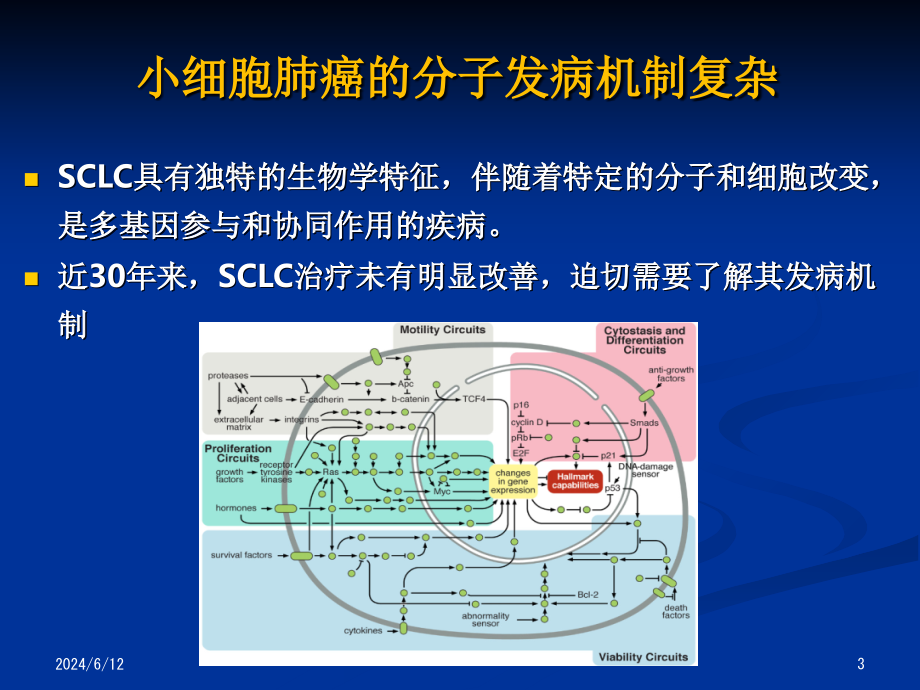 CSCO小细胞肺癌解读（课堂PPT）_第3页