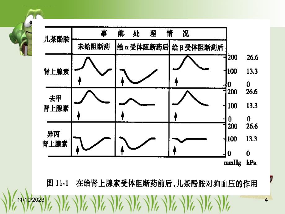 药理学第9章 肾上腺受体阻断药课件_第4页