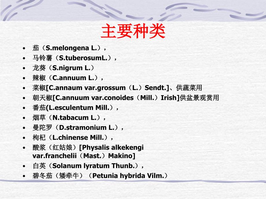 茄科、玄参、桔梗、木樨、唇形、菊科课件_第2页