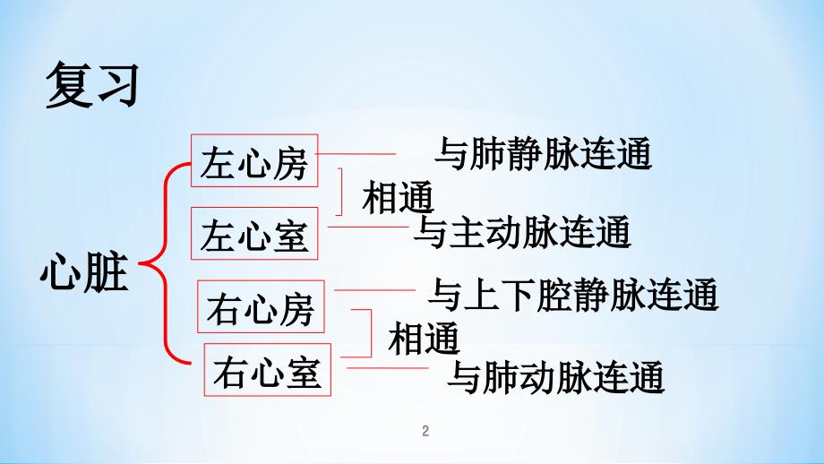 教学体内物质的运输(第三课时)血液循环（课堂PPT）_第2页