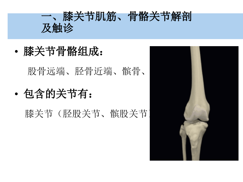 膝关节功能障碍评估PPT_第3页
