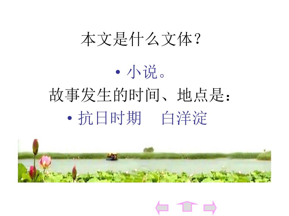 2《芦花荡》ppt课件.ppt_第4页