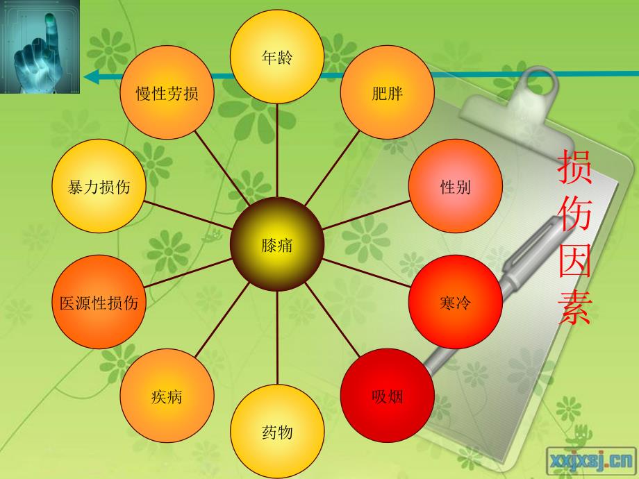 膝关节疼痛的诊断与治疗PPT_第3页