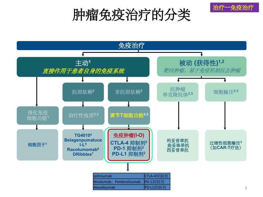 《肺癌免疫治疗》PPT课件_第2页