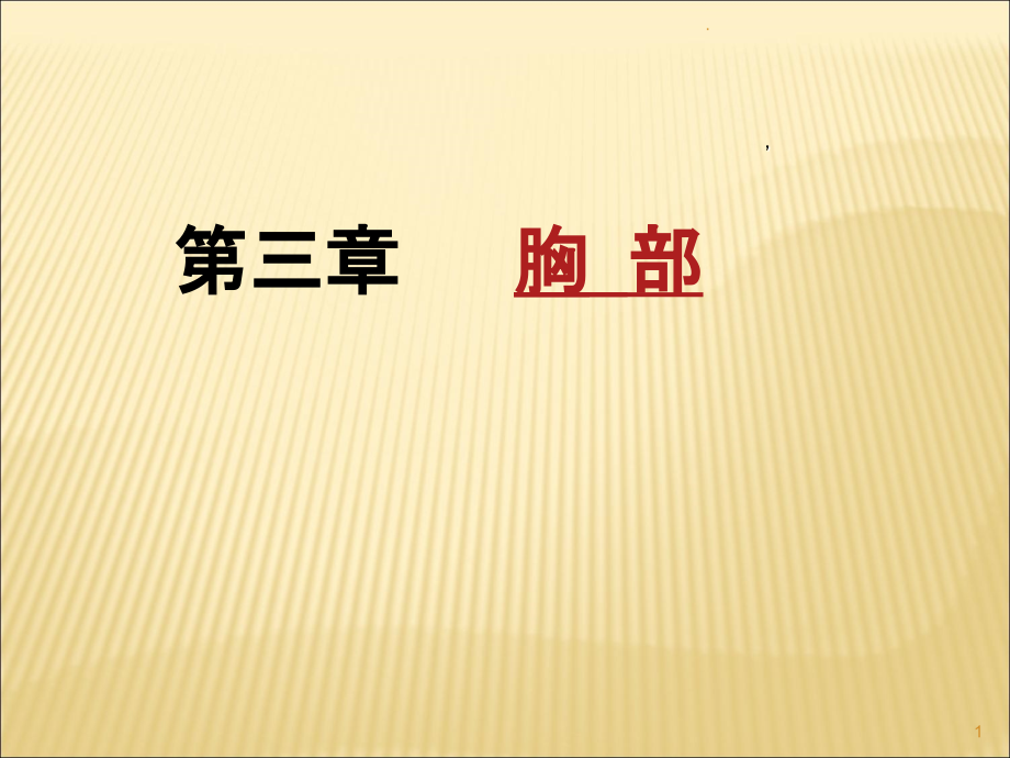 《断层解剖胸部》PPT课件_第1页