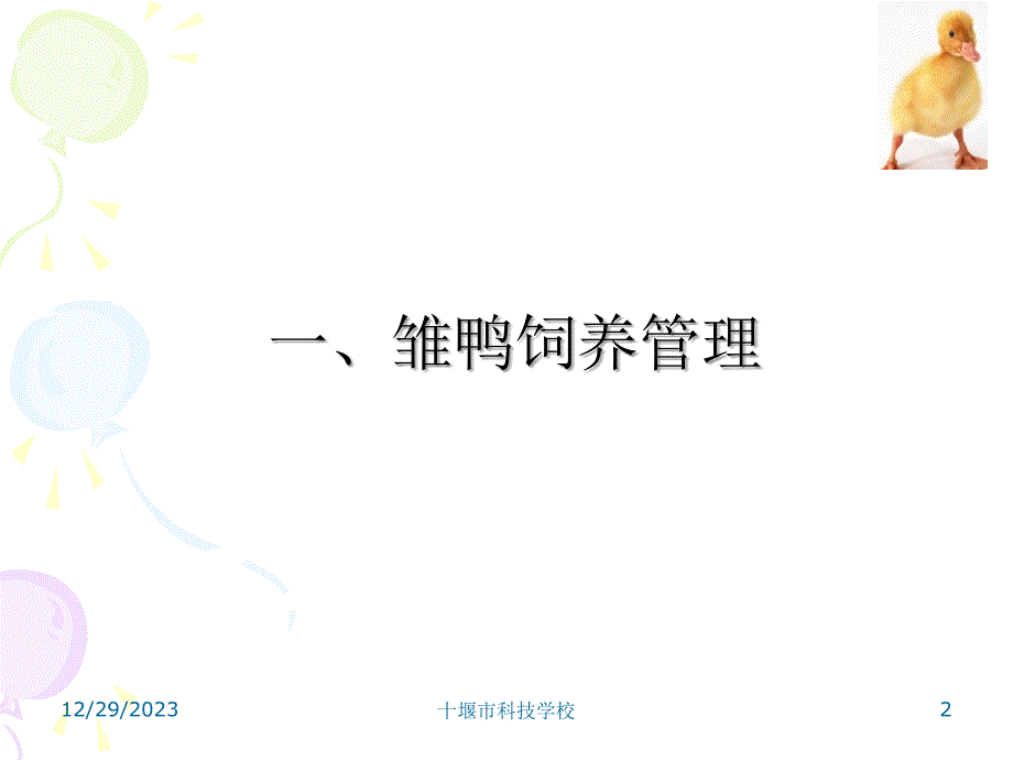 《养鸭技术》PPT课件.ppt_第2页