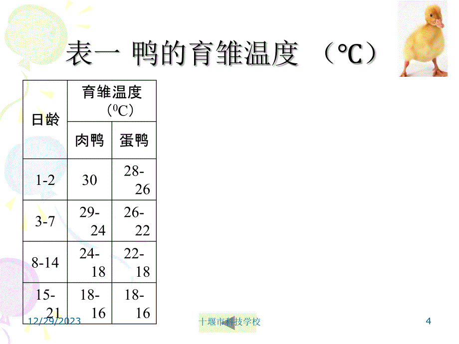 《养鸭技术》PPT课件.ppt_第4页