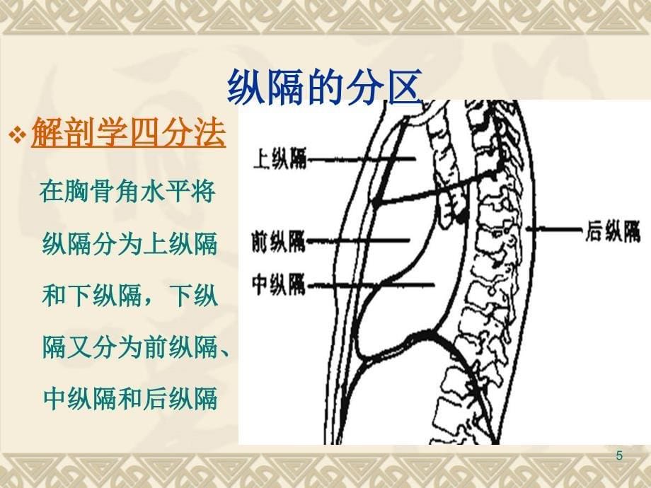 纵隔肿瘤护理常规（课堂PPT）_第5页