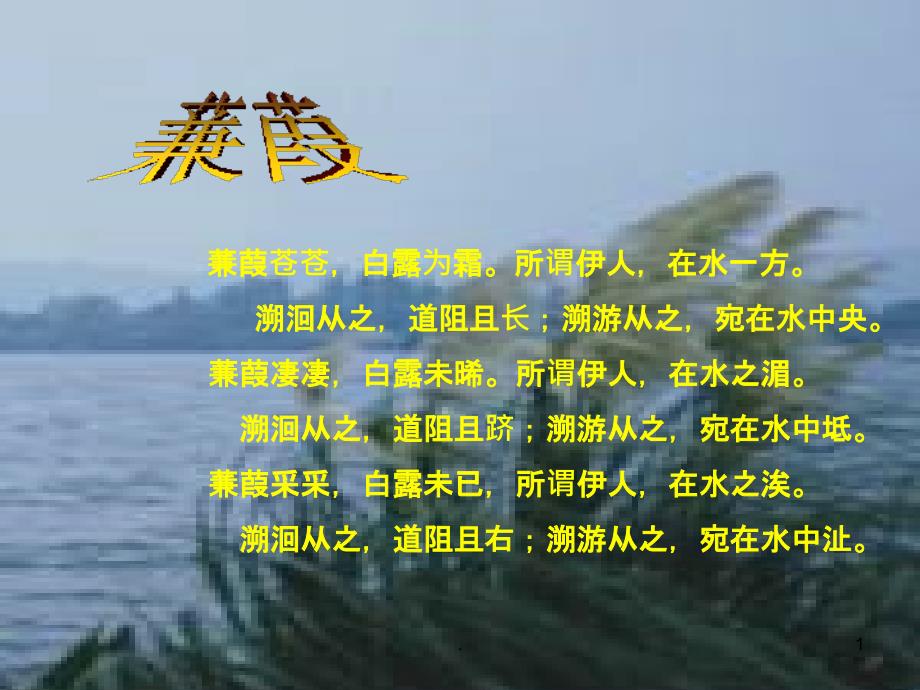 《蒹葭》赏析PPT课件_第1页