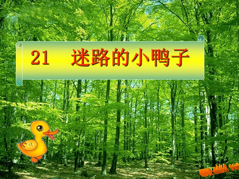 鄂教版一年级语文下册21.迷路的小鸭子课件_第2页