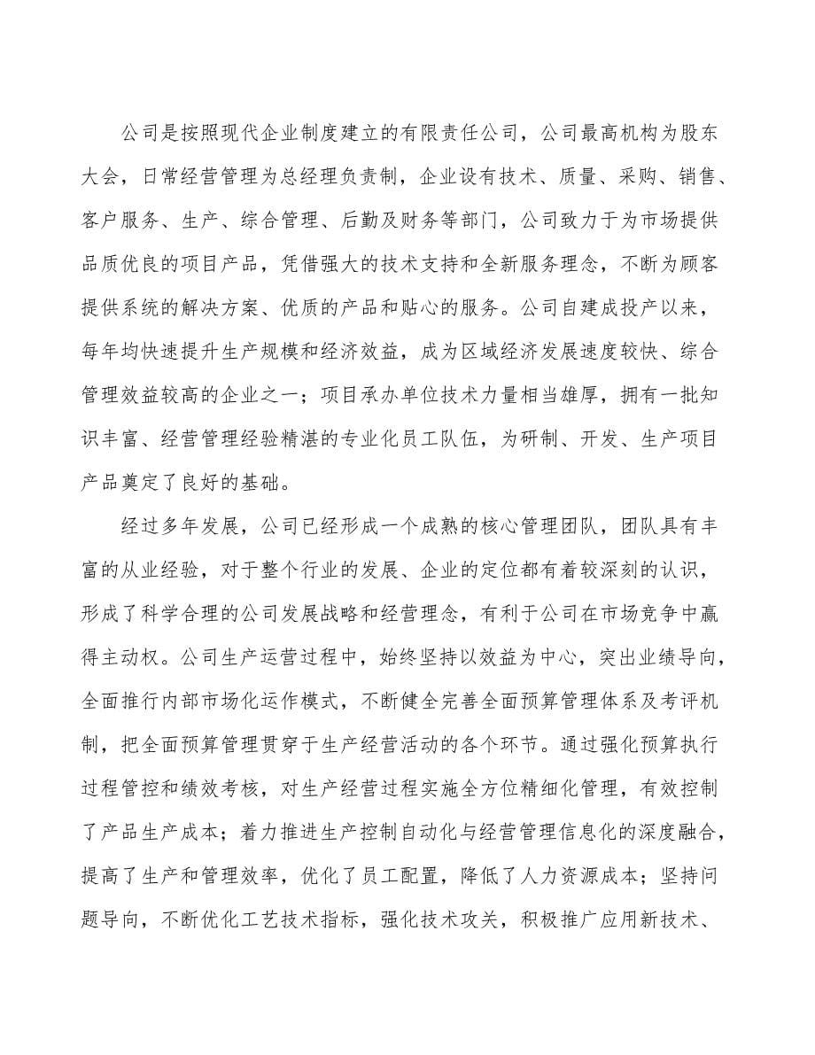 铁合金项目立项申请报告范文范本_第5页