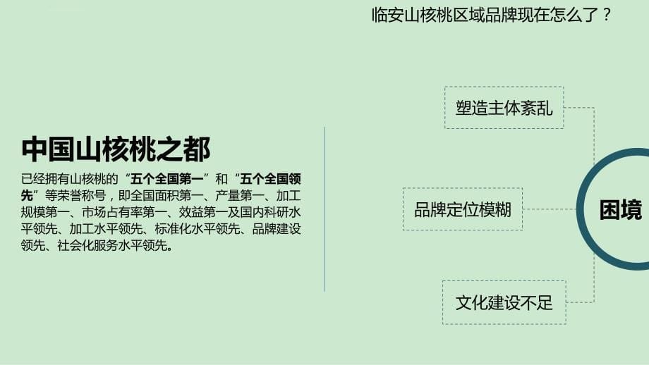 调查报告汇报课件_第5页