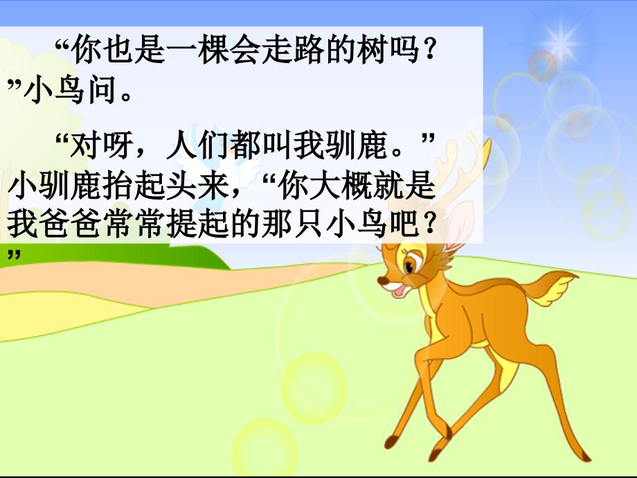 会走路的树 第二课时.ppt_第4页