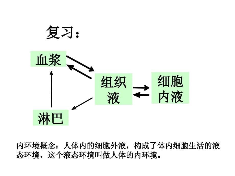 内环境稳态的重要性(上课用).ppt_第5页