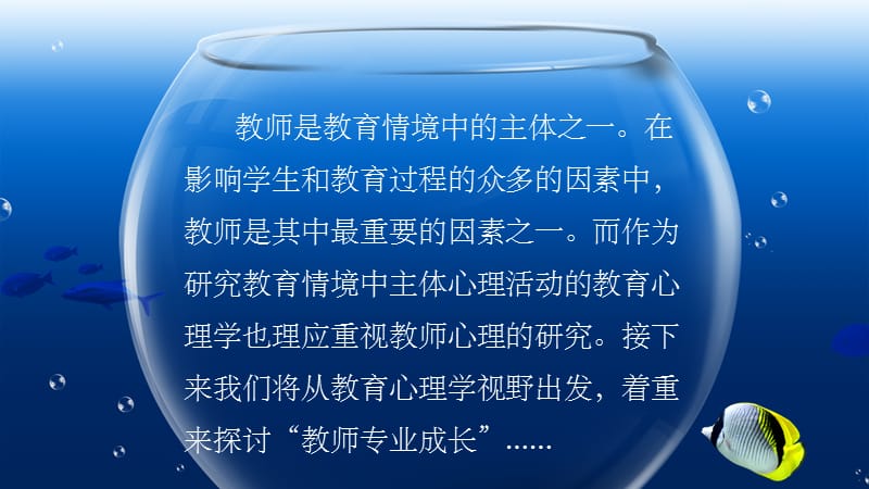 《教师的专业成长》PPT课件_第3页