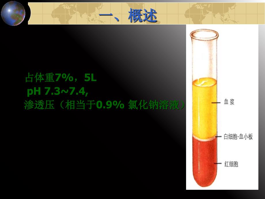 组织学与胚胎学血液（课堂PPT）_第2页