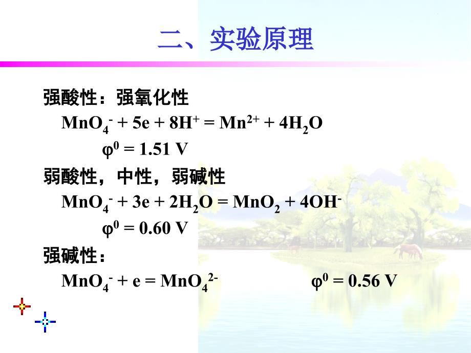 过氧化氢含量的测定课件_第4页