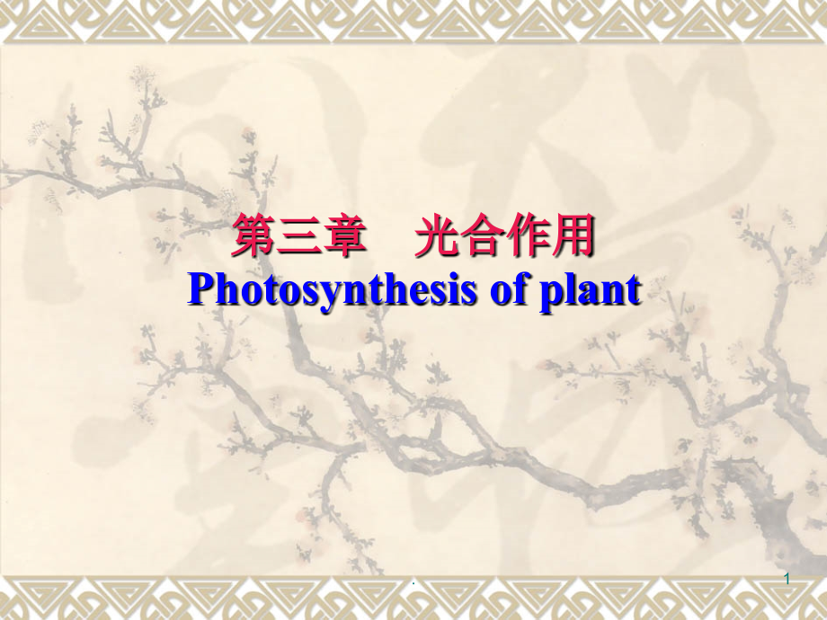 植物生理学-光合作用ppt课件_第1页