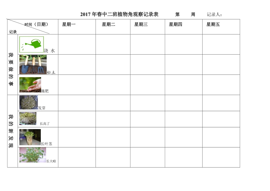 幼儿园植物观察记录表绿豆_第1页