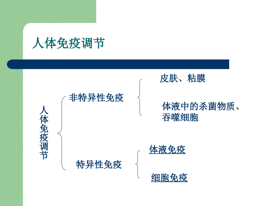 677编号免疫调节剂_第2页