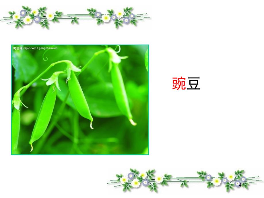 植物妈妈有办法-优秀（课堂PPT）_第4页