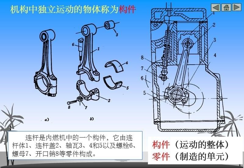 《研究对象和内容》PPT课件_第5页