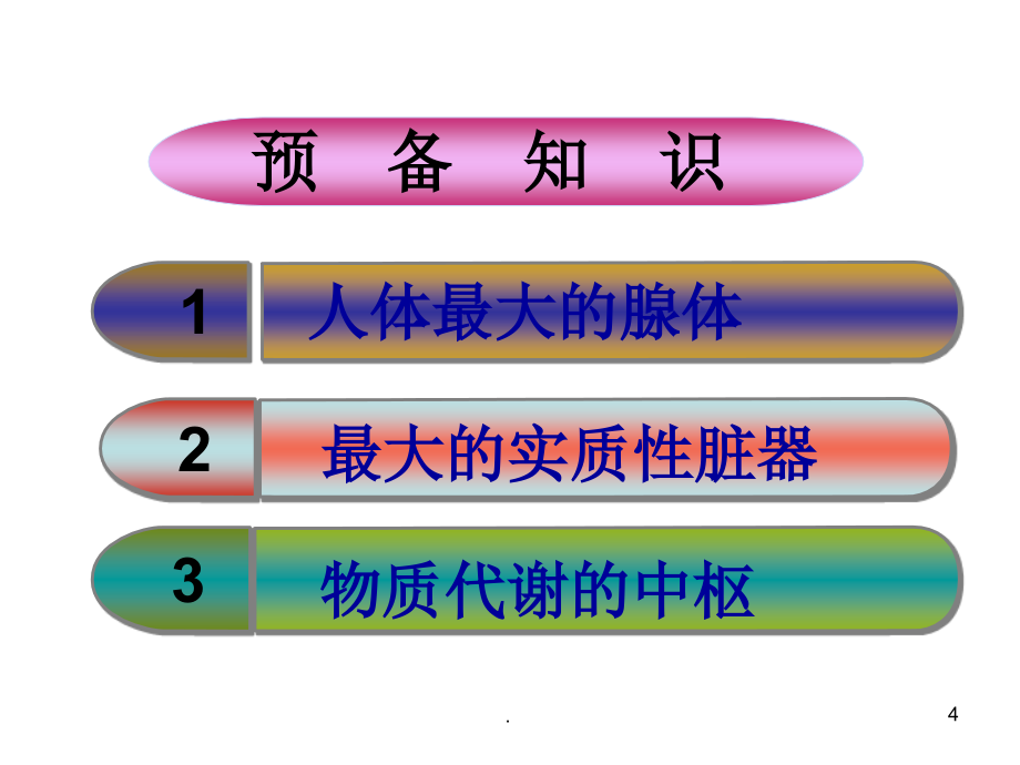 肝胆代谢-消化系统ppt课件_第4页