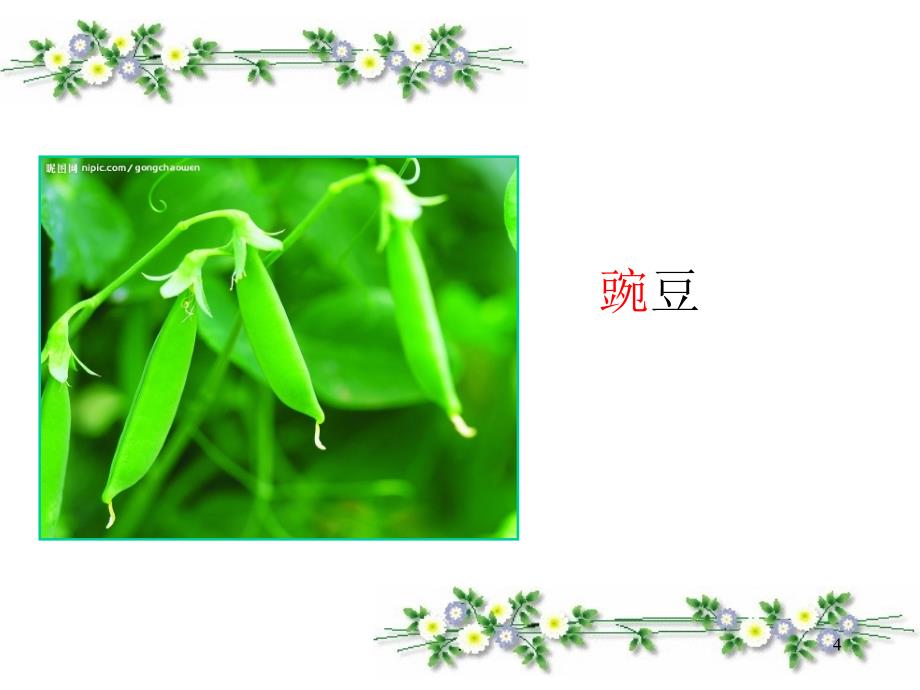 植物妈妈有办法-优秀ppt课件_第4页