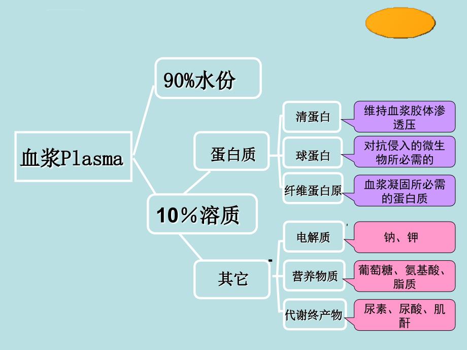 贫血概述姚课件_第3页