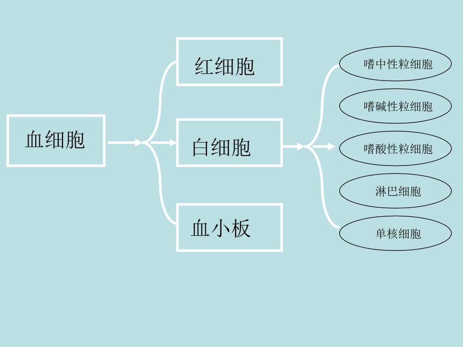 贫血概述姚课件_第4页