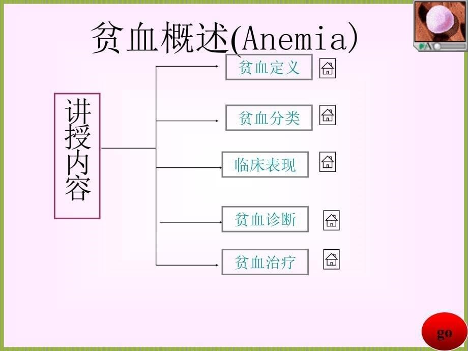 贫血概述姚课件_第5页