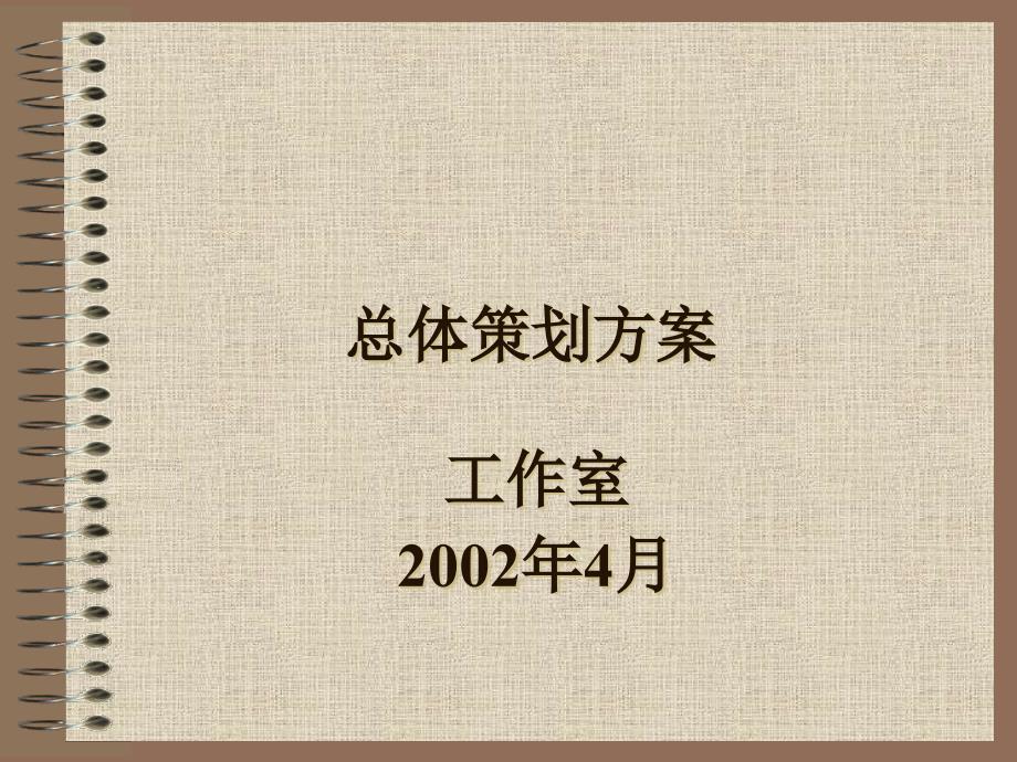 天津XX公司张贵庄项目策划方案精编版_第1页