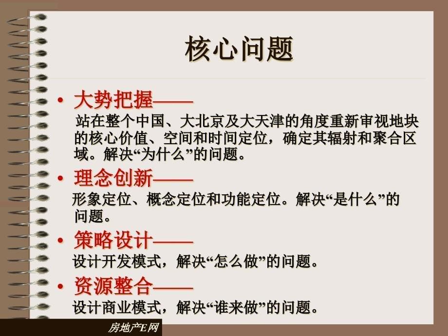 天津XX公司张贵庄项目策划方案精编版_第5页