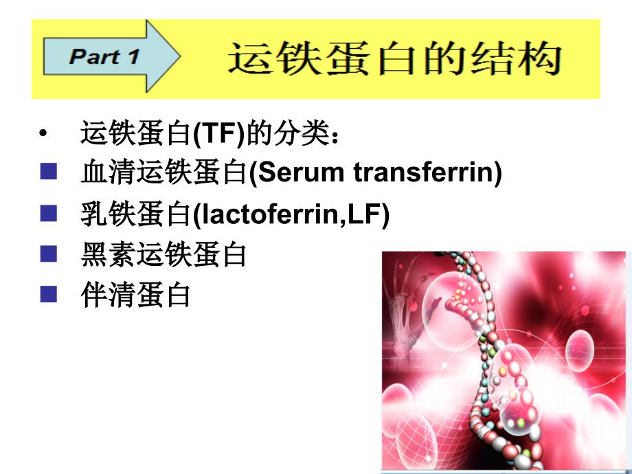 运铁蛋白与储铁蛋课件_第3页