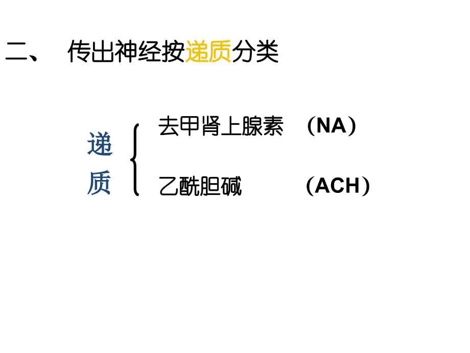 神经系统分类_第5页